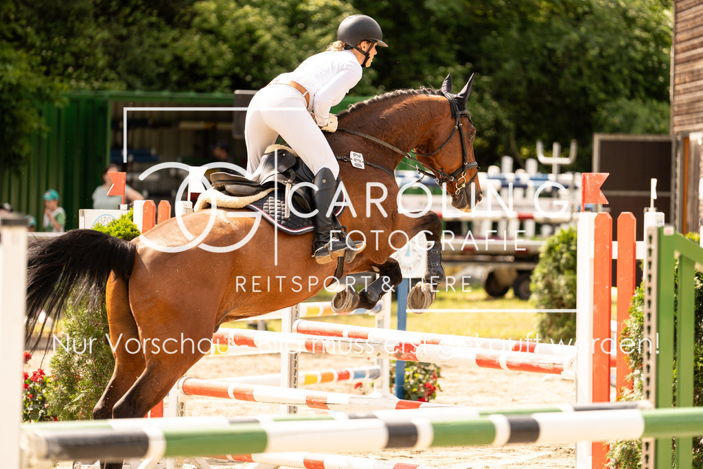 DSC02338 | Carolin Gieschke