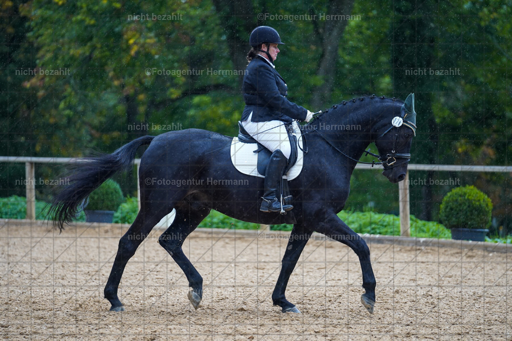 20221008-FAH02031 | Diessen am Ammersee, 2022, Dressur- und Springturnier, Reitsportbilder, Turnierfotografen Bayern, Pferdefotografen, Fotoagentur Herrmann, Turnierbilder