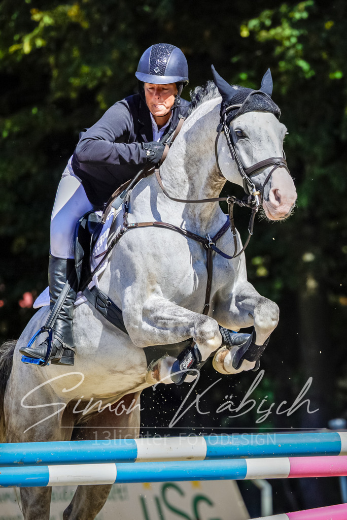 20250906-_3LI4100 | Tierfotografie Pferde, Hunde, Katzen, Haustiere.
Turnierfotografie Reitturniere, Reiten, Springreiten, Dressur in Hanau, dem Main-Kinzig-Kreis und dem Rhein-Main- Gebiet um Frankfurt