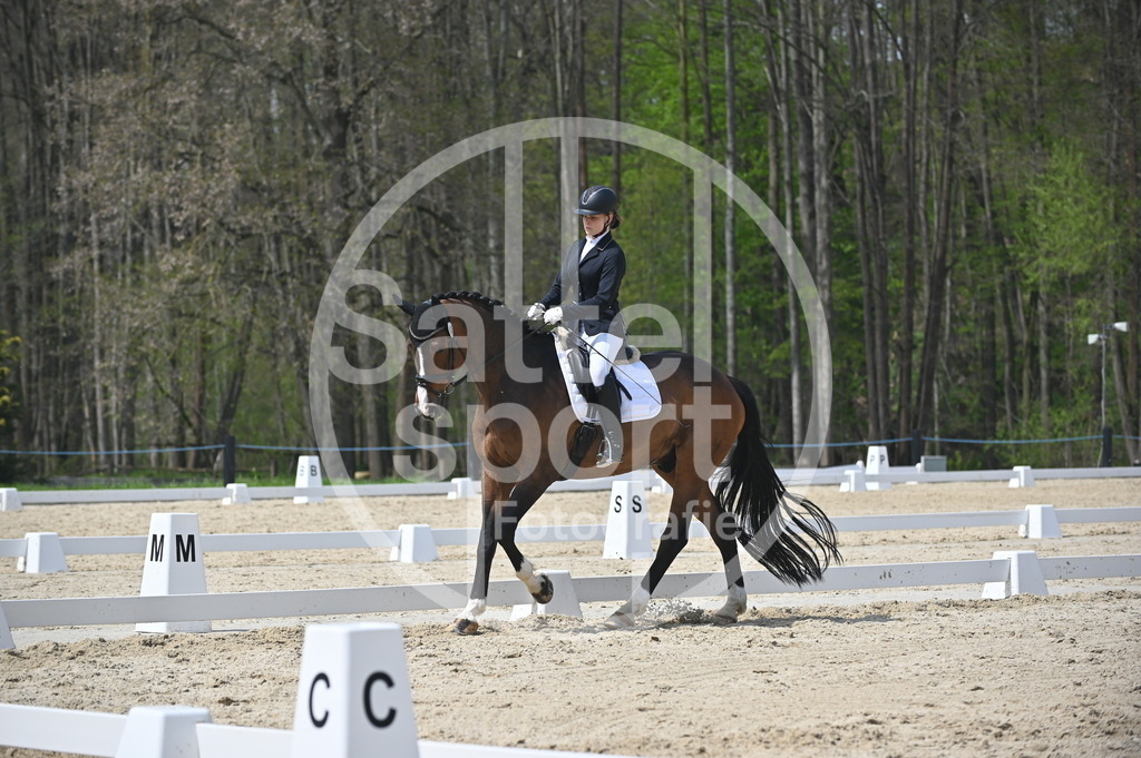 DSC_2375 | sattelsport - Realisiert mit Pictrs.com