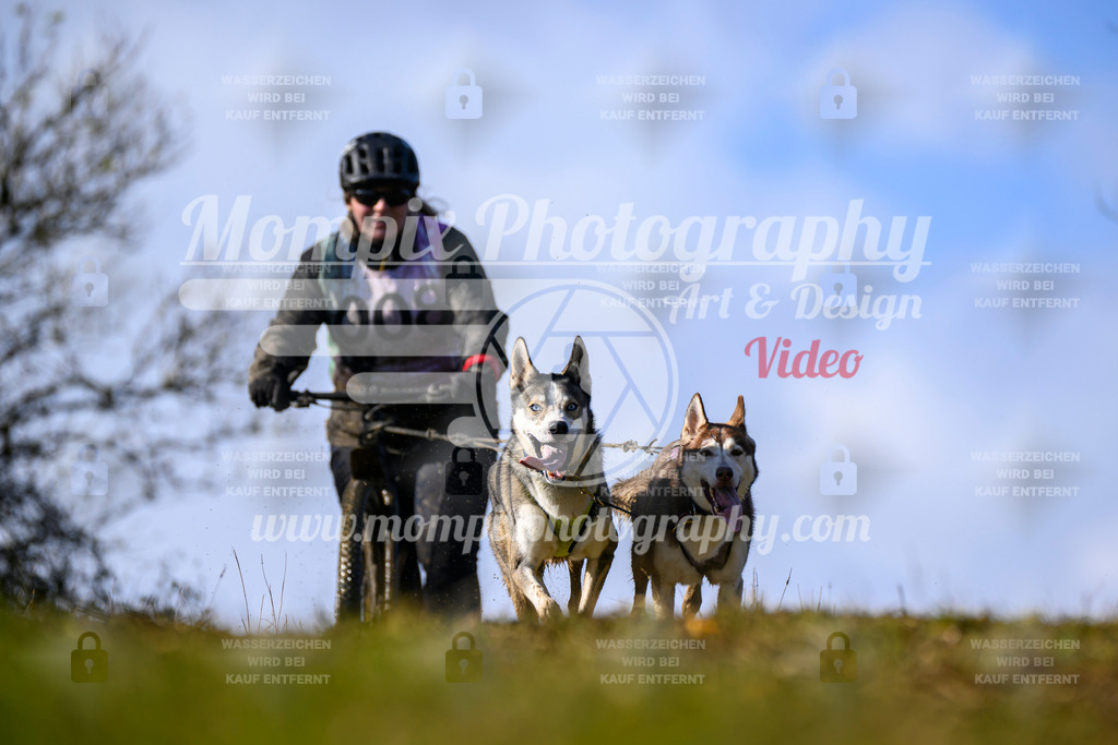 MompixPhotography_2OATB_SO_Scooter-21 | PayLife