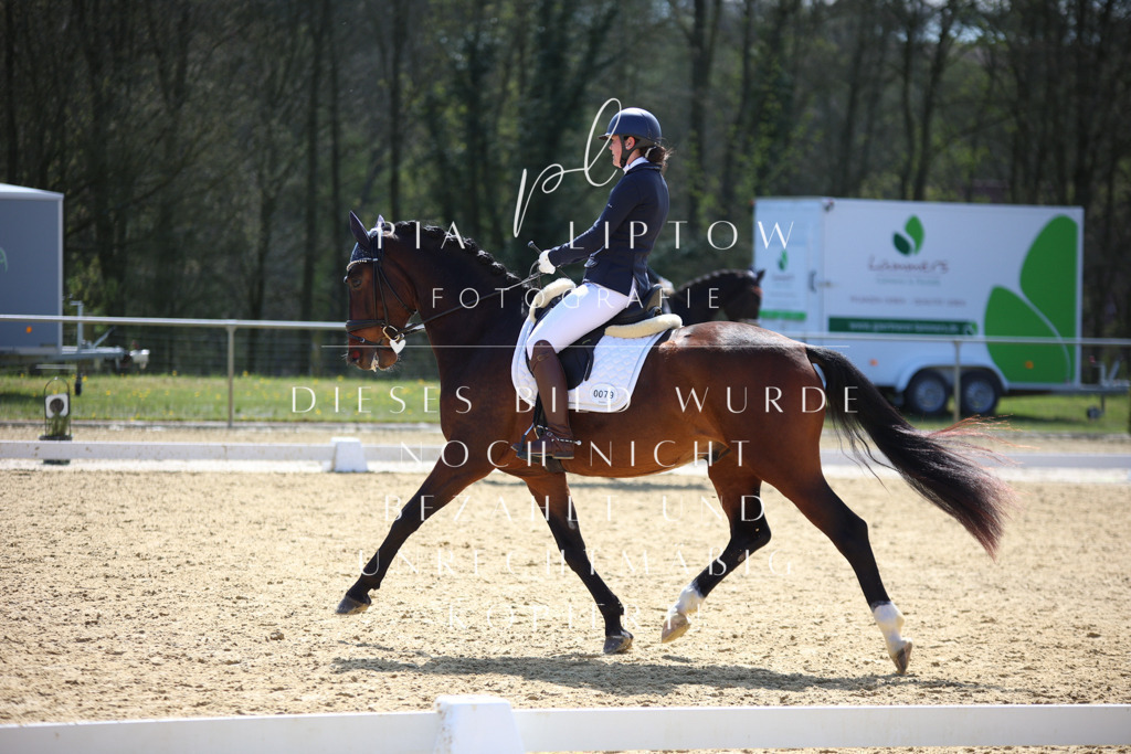 IMGT1834 | pl-fotografie