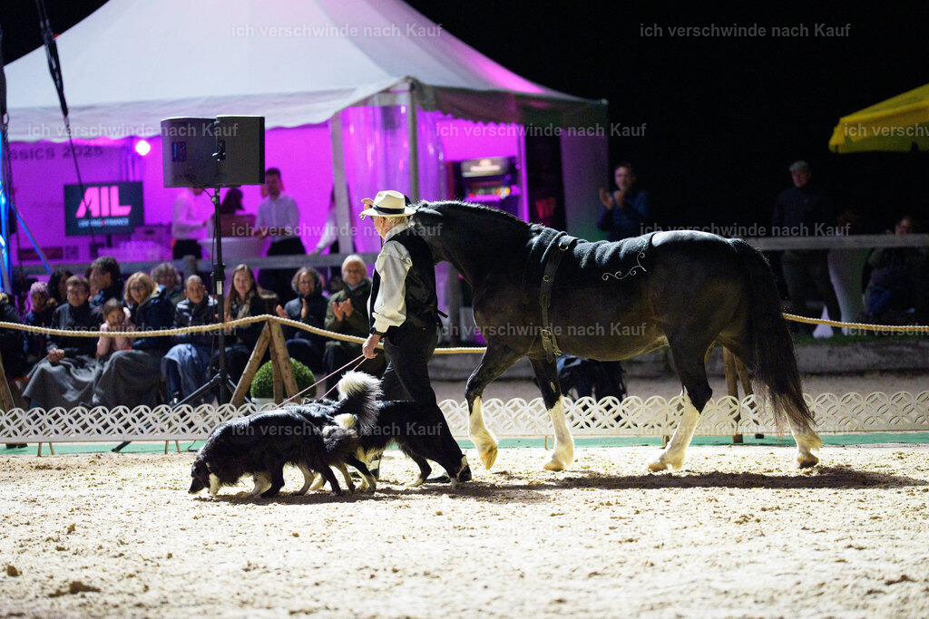 Gala-690 | working equitationturnier fotograf videograf stoibphotography marixx film working equitation deutschland reitsport turnierfotografie eventfotografie equestrian events