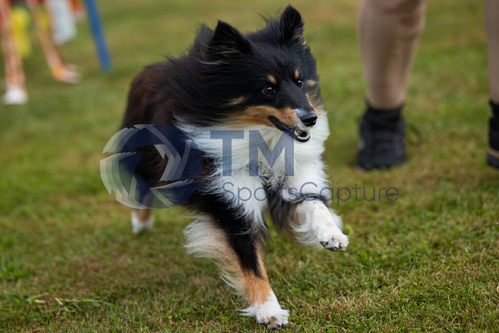 TP-20240815-0043 | Copyright: Trainproduction / Matthias Trinkl