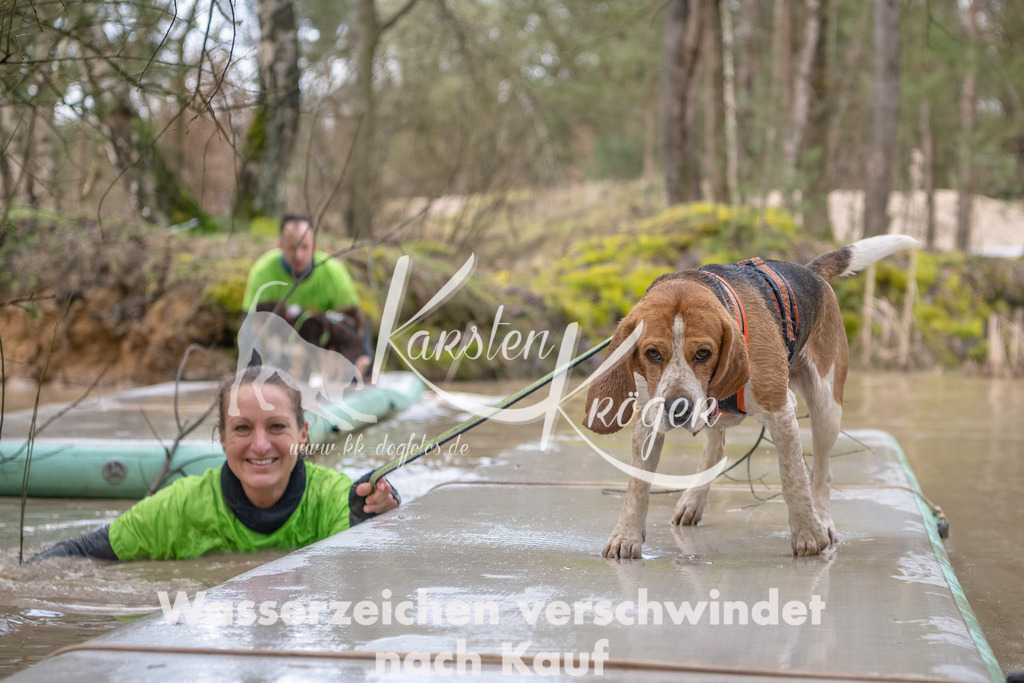 0954_ZZ91710-Bearbeitet | kk-dogfotos