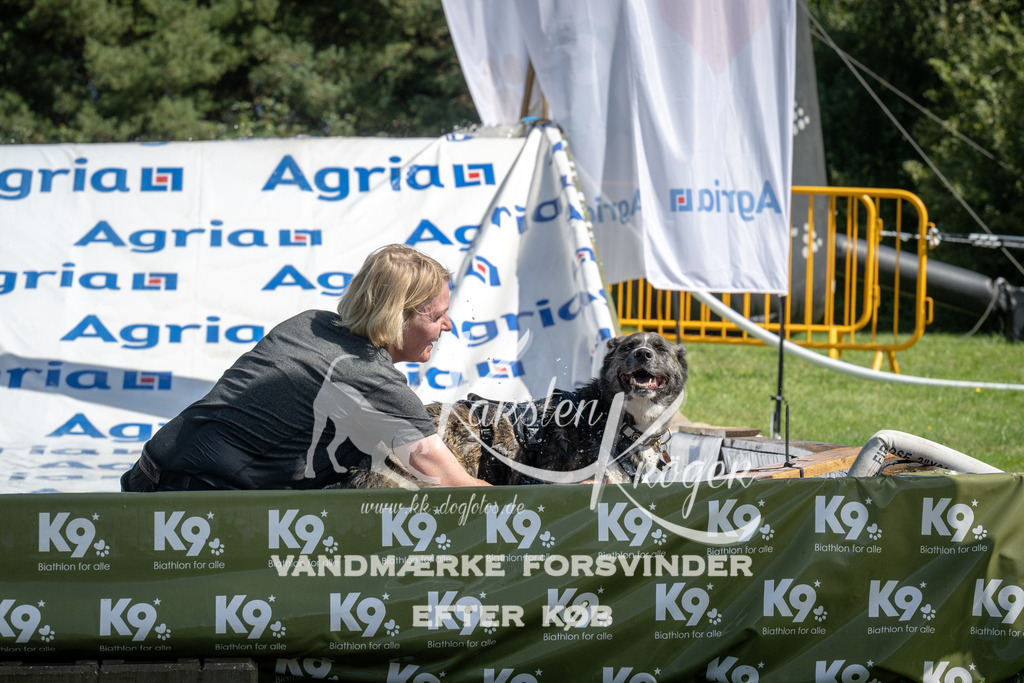 1150_ZZ94275 | kk-dogfotos