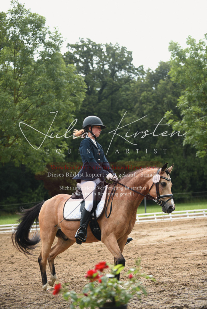 DSC_0068 | Pferde- und Turnierfotografie in Westsachsen. Pferdeportraits, Auftragszeichnungen und intuitive Kunst.