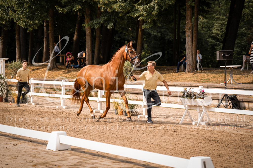 FrER00023 | Leoni Ertmer Photography - Realisiert mit Pictrs.com