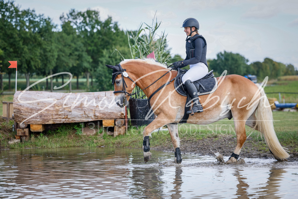 20250905-_3LI0293 | Tierfotografie Pferde, Hunde, Katzen, Haustiere.
Turnierfotografie Reitturniere, Reiten, Springreiten, Dressur in Hanau, dem Main-Kinzig-Kreis und dem Rhein-Main- Gebiet um Frankfurt