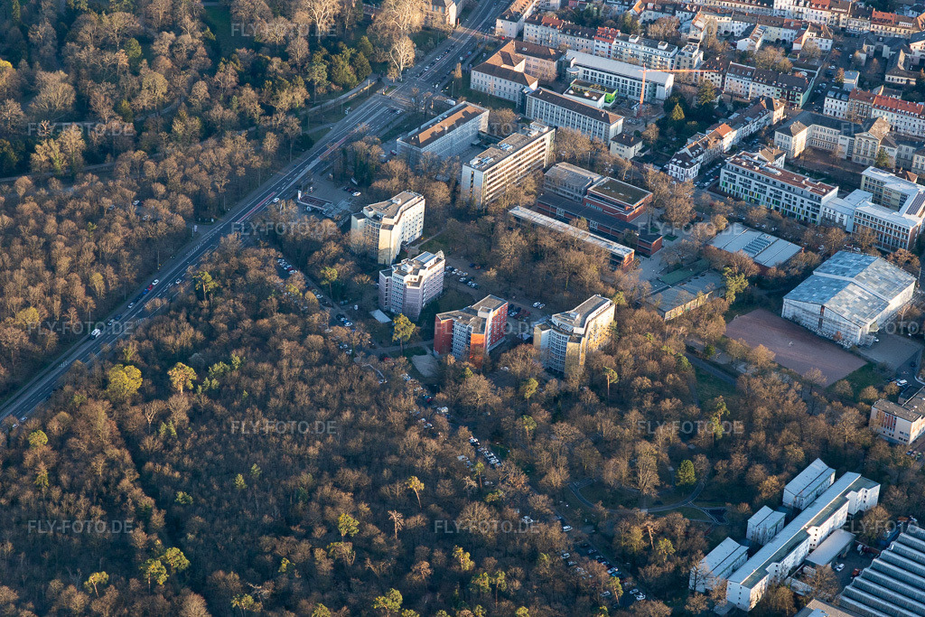 Luftbild: Domus 7, Reinhold-Schneider-Haus, Hermann-Ehlers Kolleg im Ortsteil Innenstadt-West in Karlsruhe im Bundesland Baden-Württemberg in Deutschland. Foto: IMG_112935.jpg vom 20.03.2019 durch Werner Riehm/FLY-FOTO.de