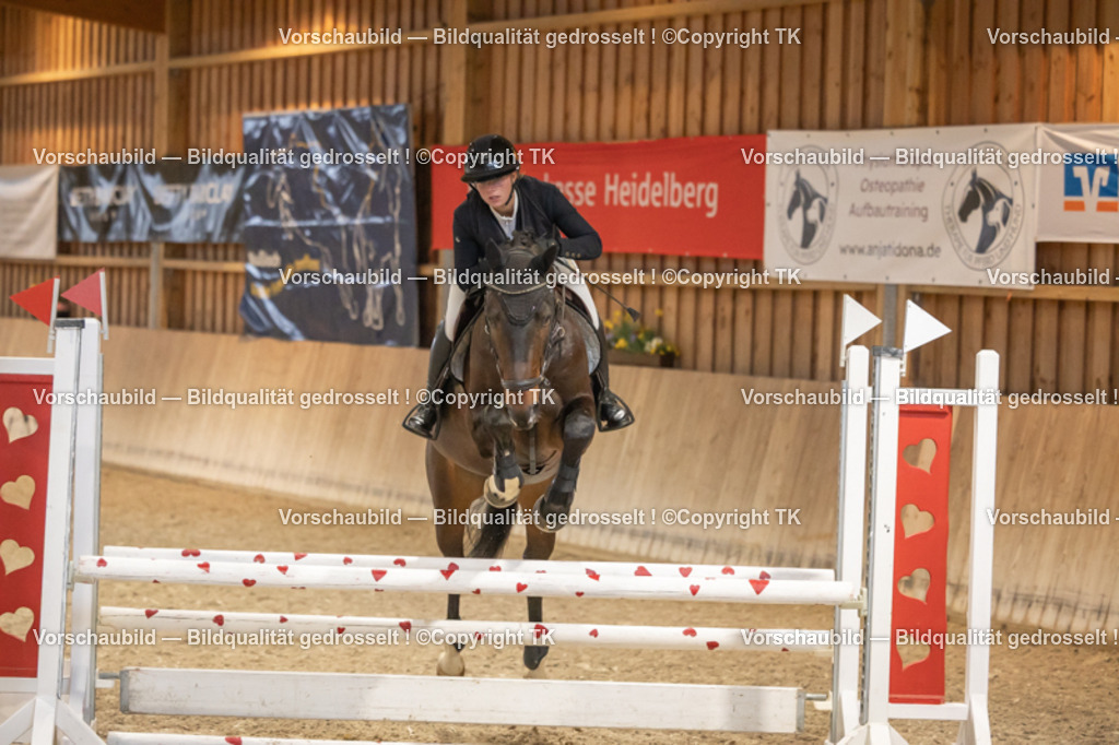 _D5A7034 | Emotionale Pferde- & People-Fotografie rund um Heidelberg, Leimen & Umgebung. Natürliche Fotos von Pferd, Mensch & Familie. Jetzt Termin sichern!