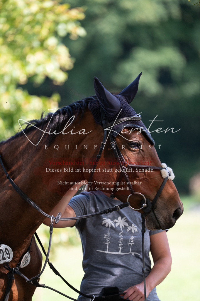 DSC_0936 | Pferde- und Turnierfotografie in Westsachsen. Pferdeportraits, Auftragszeichnungen und intuitive Kunst.