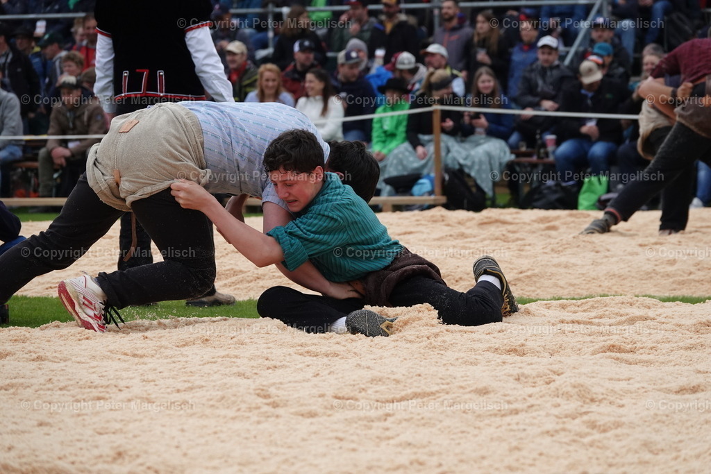 DSC03784 | Schwingen - Realisiert mit Pictrs.com
