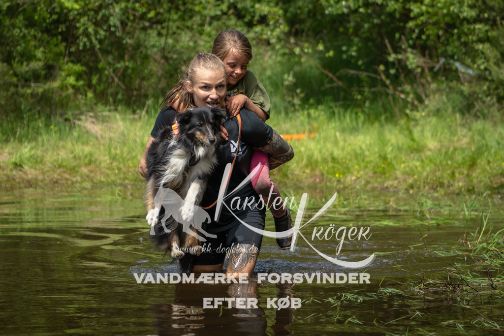 1253DKK993567 | kk-dogfotos