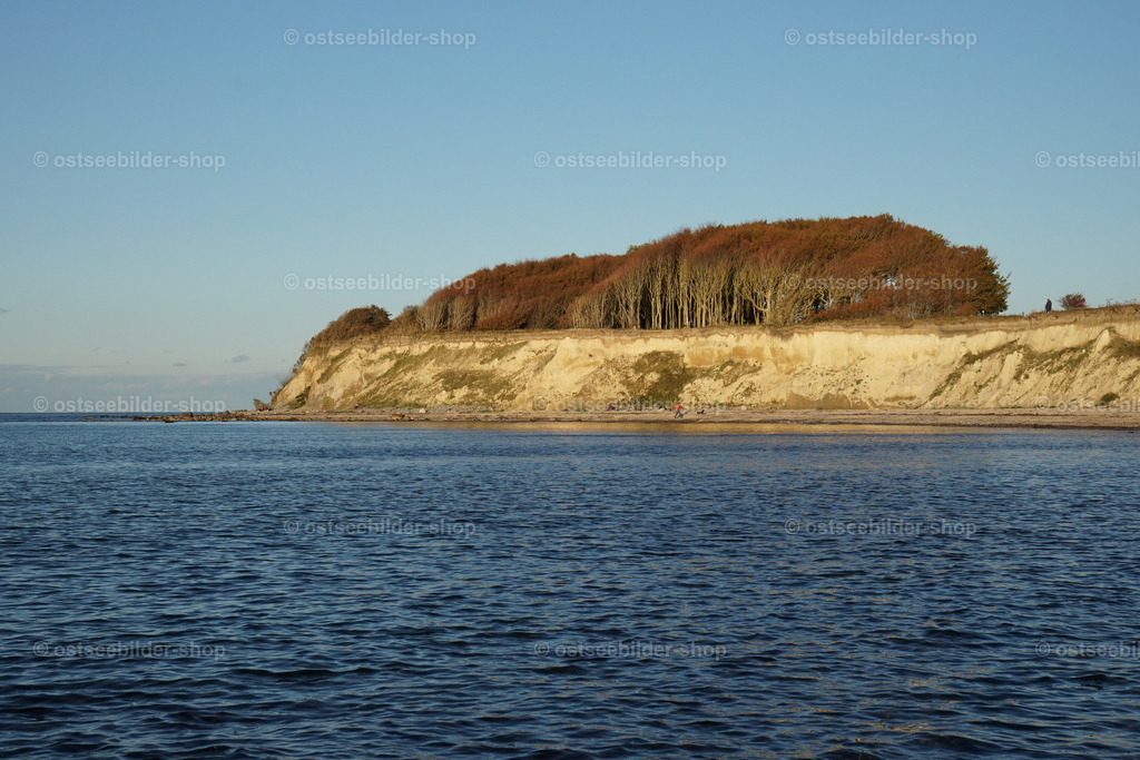 Steilküste mit Uferwald | Wie eine Kopfbedeckung trägt ein riffähnliches Steilufer einen Küstenwald als Kopfbedeckung. Die Farbe der Bäume verleiht der Szene einen herbstlichen Klang im Licht der späten Septembersonne.  