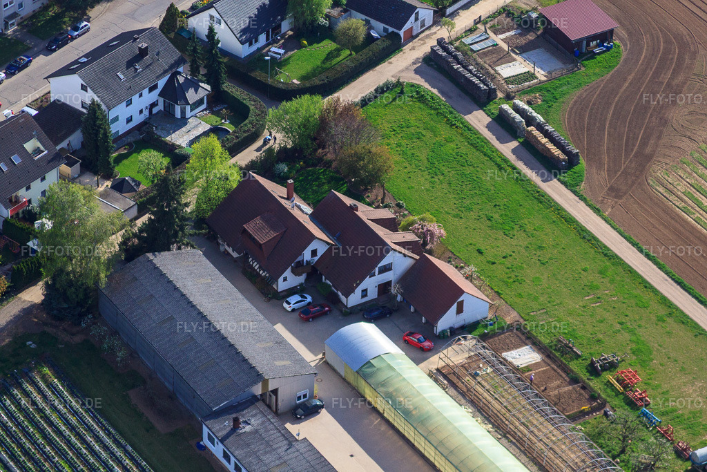 Luftbild: Biohof Kugelmann Am Sonnenweg in Kandel im Bundesland Rheinland-Pfalz in Deutschland. Foto: IMG_39385.jpg vom 09.04.2011 durch Werner Riehm/FLY-FOTO.deÜber uns - Biozyklisch-Veganer Anbau