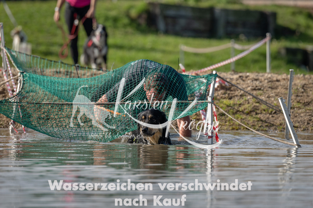 1134_ZZ93368 | kk-dogfotos