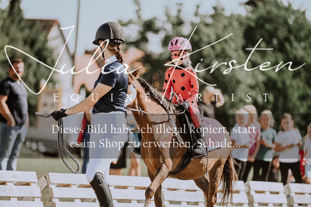 DSC_8871 | Pferde- und Turnierfotografie in Westsachsen. Pferdeportraits, Auftragszeichnungen und intuitive Kunst.