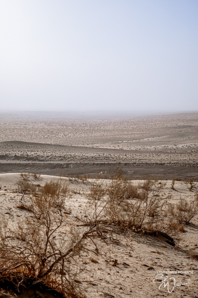 Ayaz Kala, Kizilkum, Usbekistan | Herzlich willkommen auf meiner Seite! Ich bin Elke Wallnisch, Deine Fotografin für lichtstarke Momente. Der Name steht für alles, was mich mit der Fotografie verbindet: Das Licht und seine machtvolle Wirkung auf eine Situation oder unsere Stimmung - Realisiert mit Pictrs.com