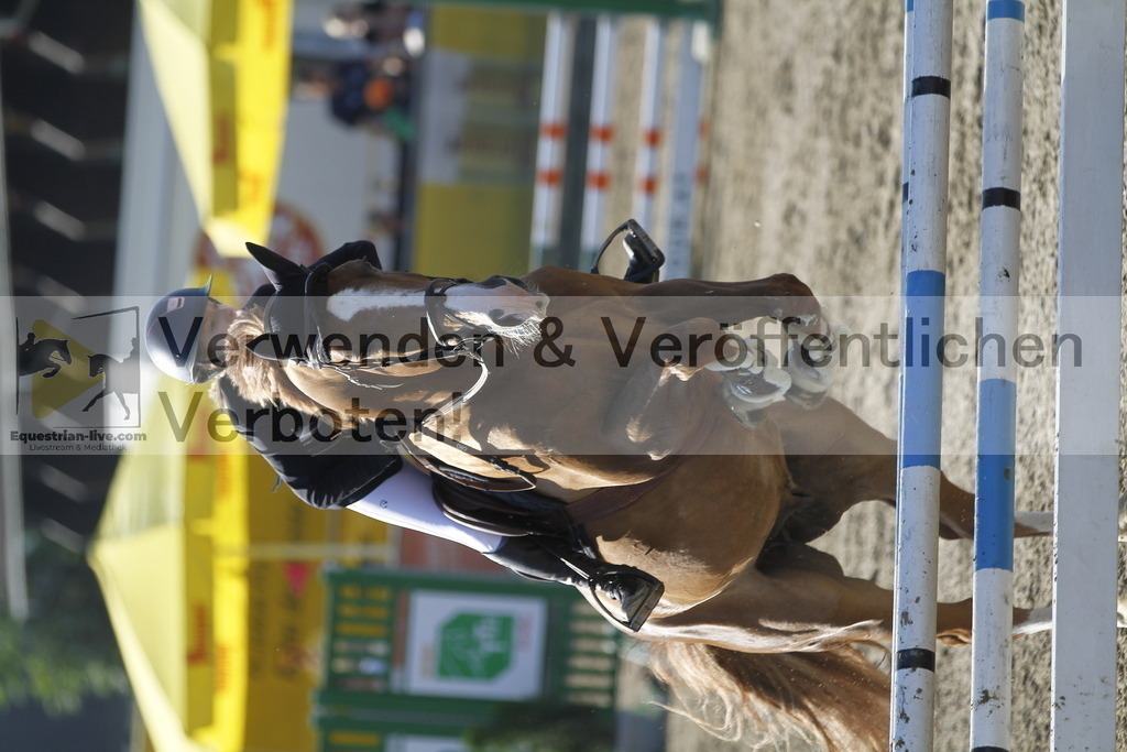 _MG_4269 | equestrian-live-com