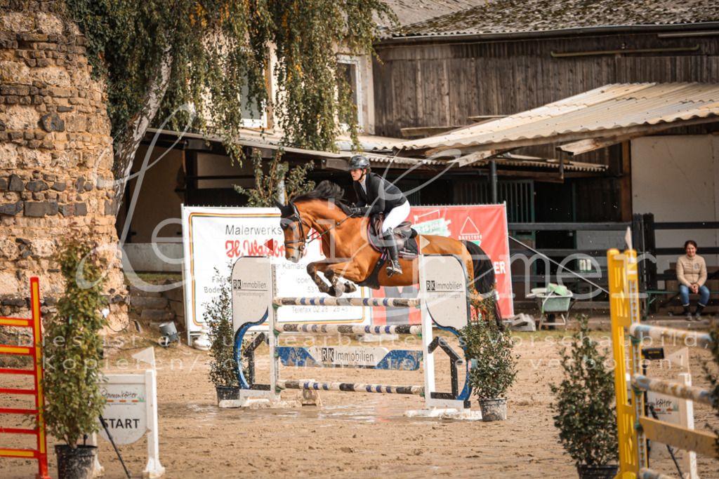 12.SaSpM00365 | Leoni Ertmer Photography - Realisiert mit Pictrs.com