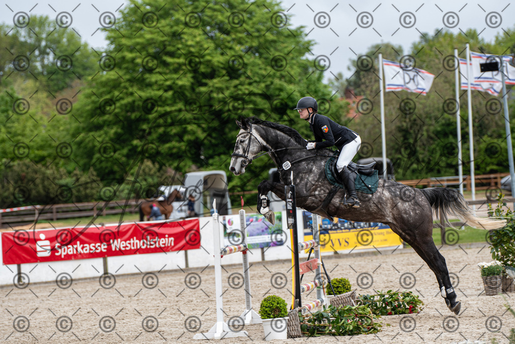 KPT_8946 | andre_photographic