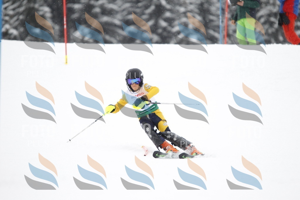 A2017 | holidayphoto