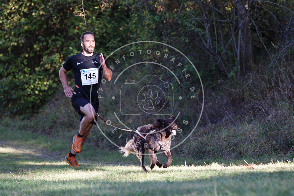 0L8A4964 | Hundefotografie, Tierfotograf, Pfotenfotografie, Fotoshooting Hund, Hunde Portrait, Hundesport, Hundeportraits, Heideshooting, Hunde, Sportfotograf, Hundefotograf, Turnierhundsport, THS,  - Realisiert mit Pictrs.com