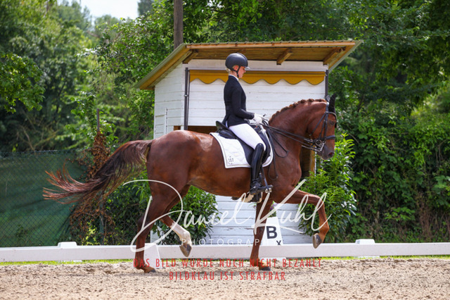 DKP41187 | Turnierfotos kaufen im Webshop von Daniel Kuhl Photography – entdecke professionelle Reitsportfotos aus Turnieren & Events. Hochwertige Turnierbilder online bestellen & sichern. Jetzt Fotos von Reitsportturnieren kaufen!