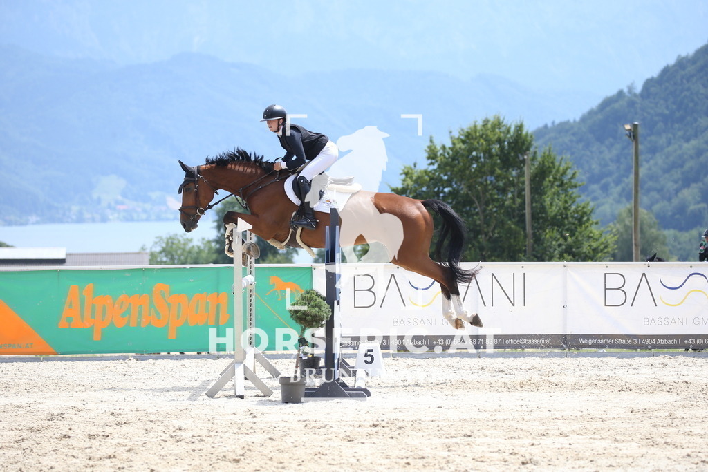 DL2Q2567 | Willkommen bei Brunnmayr - Design & Fotografie – Ihrem Spezialisten für Reitturniere und Pferdeveranstaltungen in Oberösterreich, Salzburg und Bayern! Seit über 17 Jahren sind wir leidenschaftlich dabei.