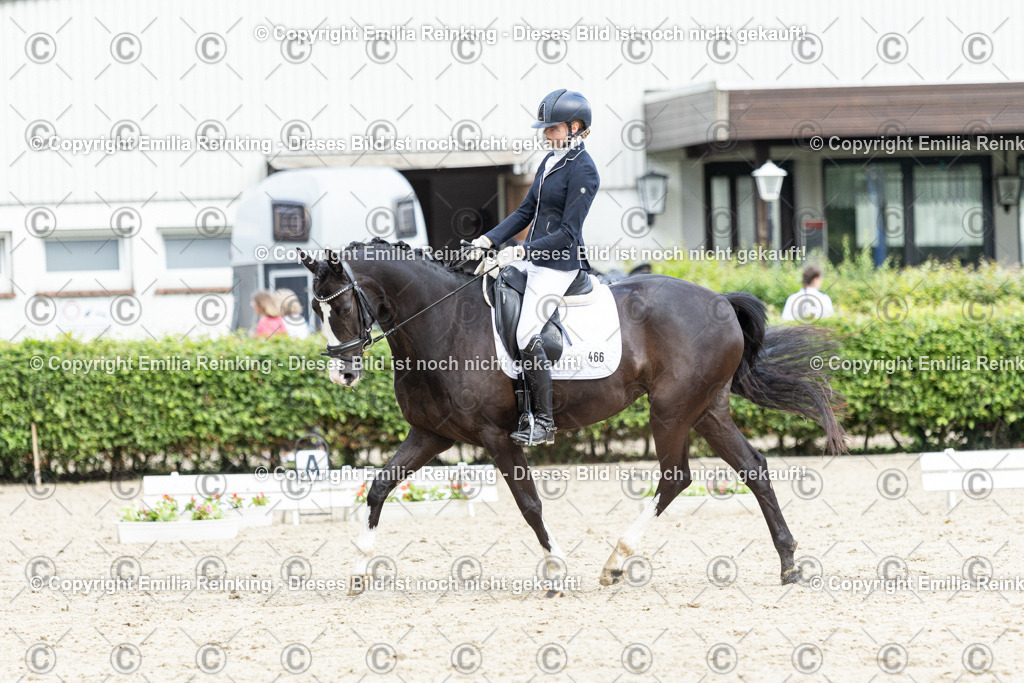 CL5A5894 | Emilia Reinking Fotografie - Realisiert mit Pictrs.com