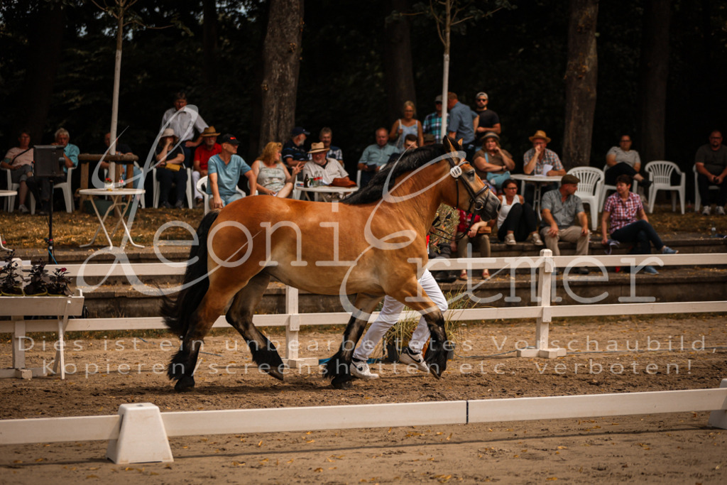 3.Sa00025 | Leoni Ertmer Photography - Realisiert mit Pictrs.com