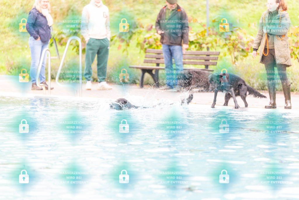 _HP_7236_1000o | HetPix, HetPix Fotodesign, Fotografie, Fotodesign, Webshop, Sportfotografie, Portraitfotografie, Onlineshop, Sportfotografie, Polch, Motorsportfotografie, Eventfotografie