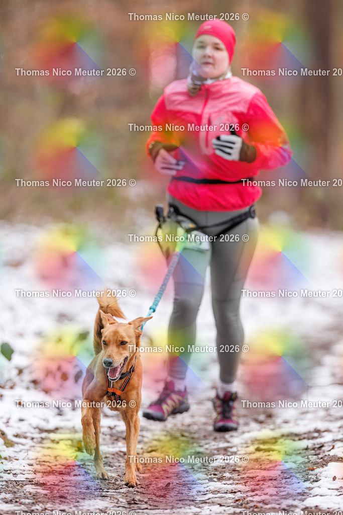 Thomas_Nico_Meuter(C)_223A8780 | Bild von Thomas Nico Meuter - Realisiert mit Pictrs.com