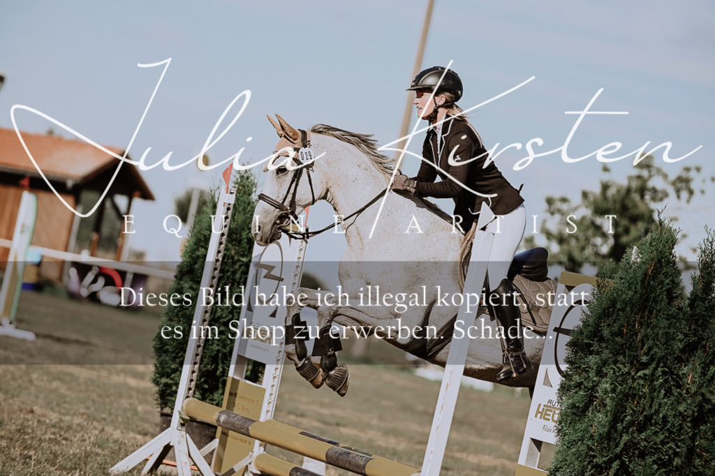 DSC_9514 | Pferde- und Turnierfotografie in Westsachsen. Pferdeportraits, Auftragszeichnungen und intuitive Kunst.