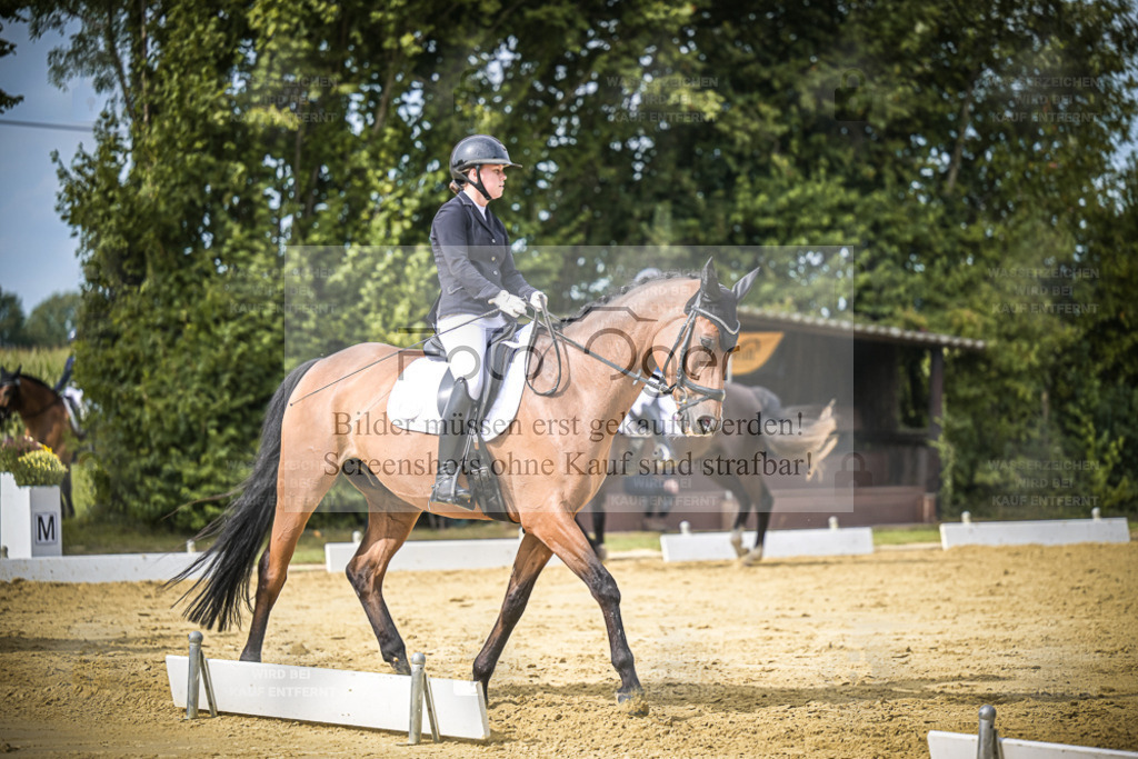 DOS_6419 | Entdecke hochwertige Reitturnierfotos von Foto Oger. Professionell, emotional und authentisch – jetzt Lieblingsmomente im Shop bestellen. - Realisiert mit Pictrs.com