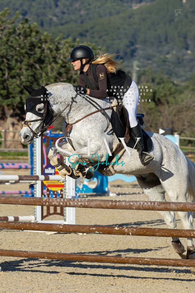 IMG_2246 | s-jay-photography - Realisiert mit Pictrs.com