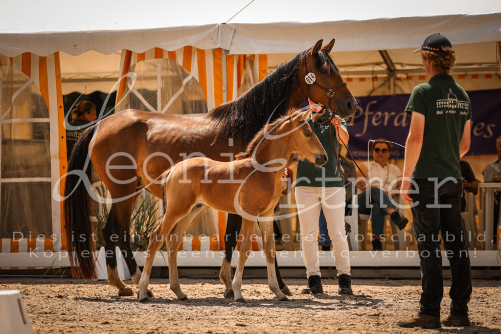 03.DoAB00020 | Leoni Ertmer Photography - Realisiert mit Pictrs.com