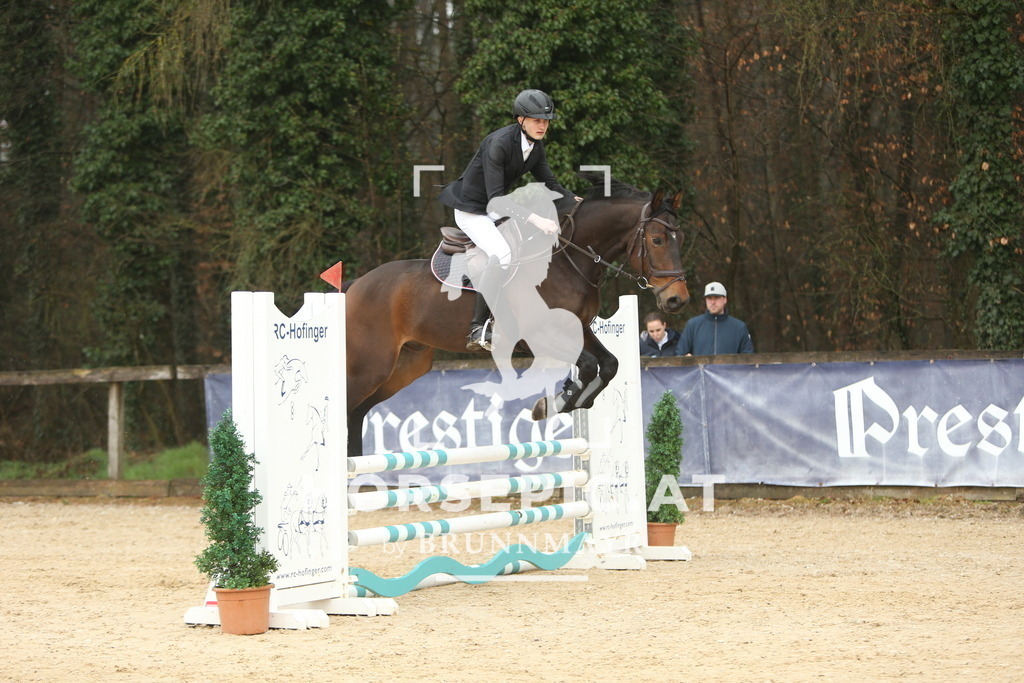 DL2Q4581 | Willkommen bei Brunnmayr - Design & Fotografie – Ihrem Spezialisten für Reitturniere und Pferdeveranstaltungen in Oberösterreich, Salzburg und Bayern! Seit über 17 Jahren sind wir leidenschaftlich dabei.