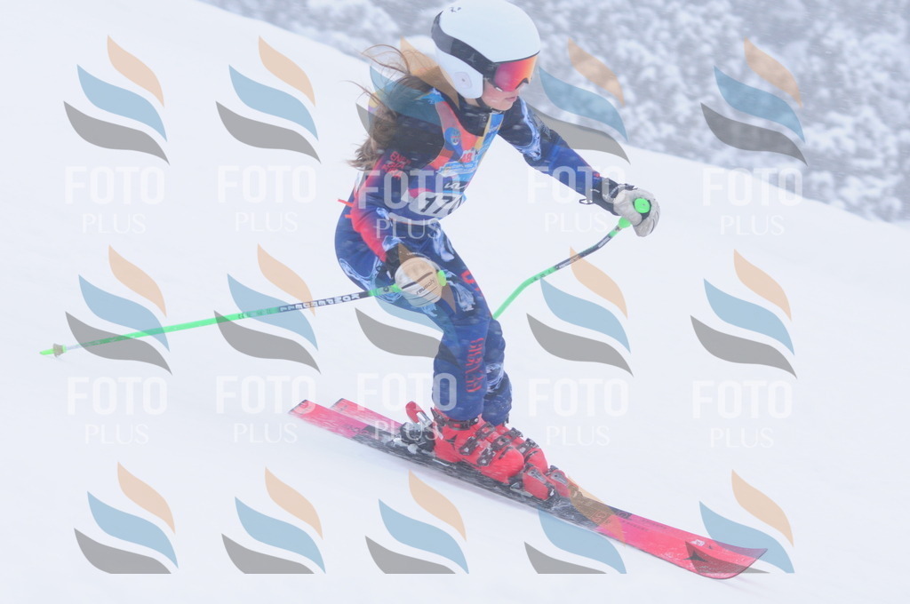 C1994 | holidayphoto