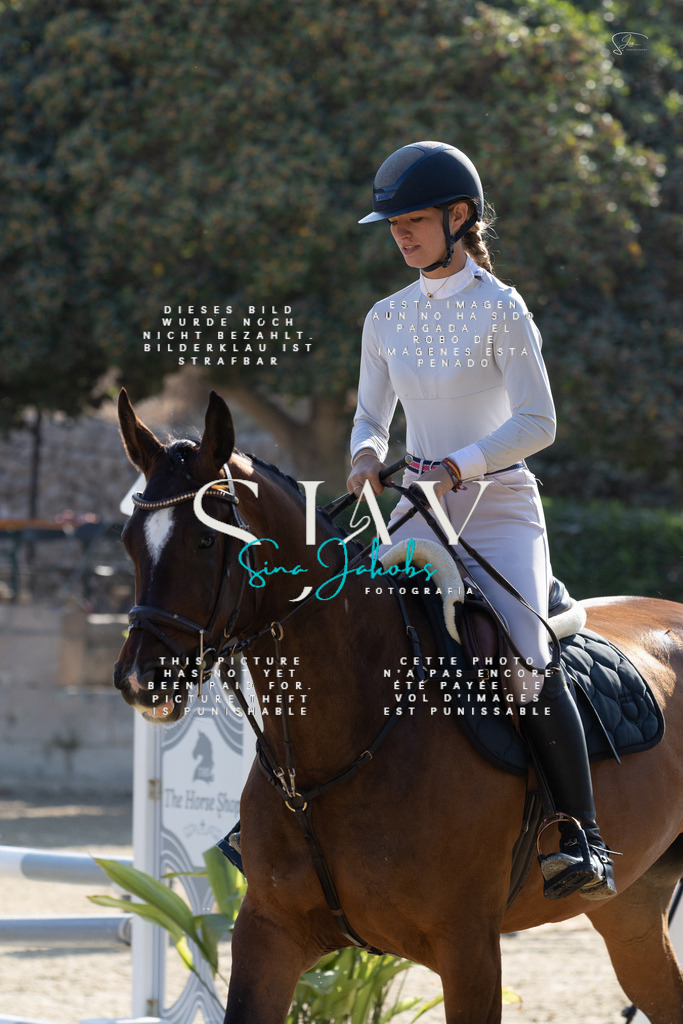 IMG_4547 | s-jay-photography - Realisiert mit Pictrs.com