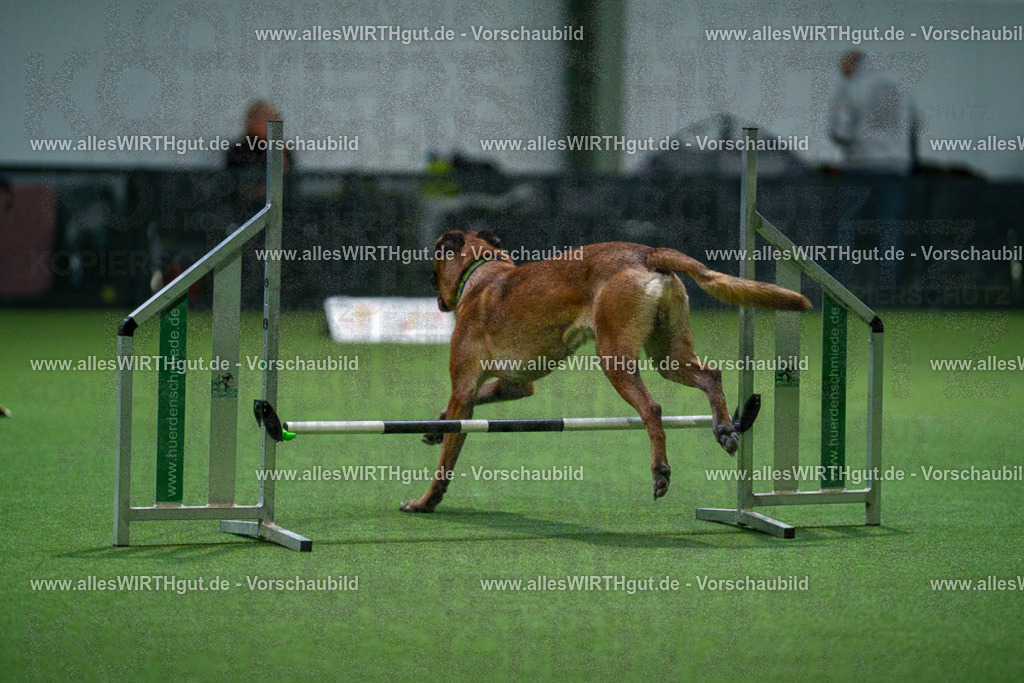 7R503707 | Professionelle Tierfotografie in Mönchengladbach von Daniel Wirth (allesWIRTHgut). Liebevolle & natürliche Bilder von Hunden & Katzen für unvergessliche Erinnerungen.