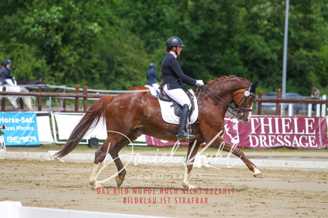 DKP40749 | Turniersportfotografie; Pferdefotografie; Dressurfotografie