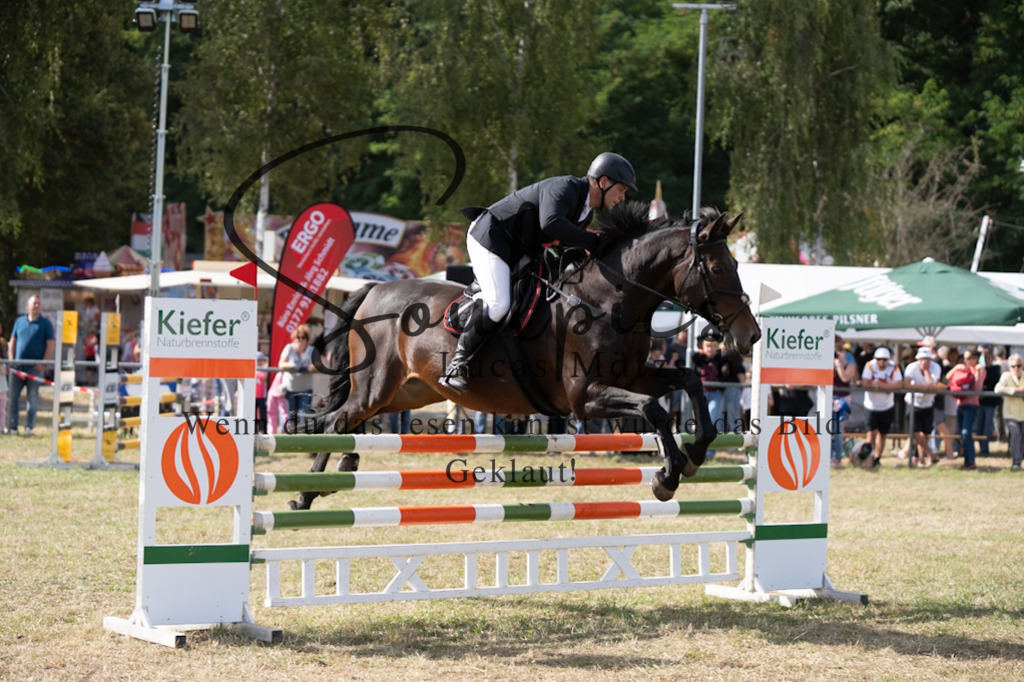 A7V09330 | Pferdefotograf