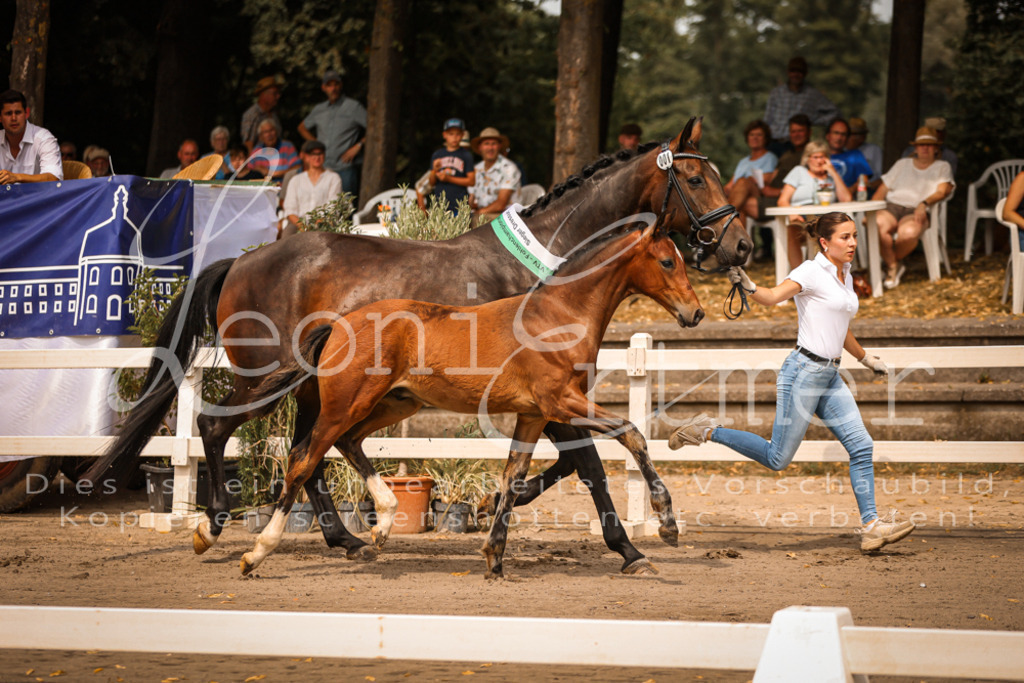 SaPA00013 | Leoni Ertmer Photography - Realisiert mit Pictrs.com