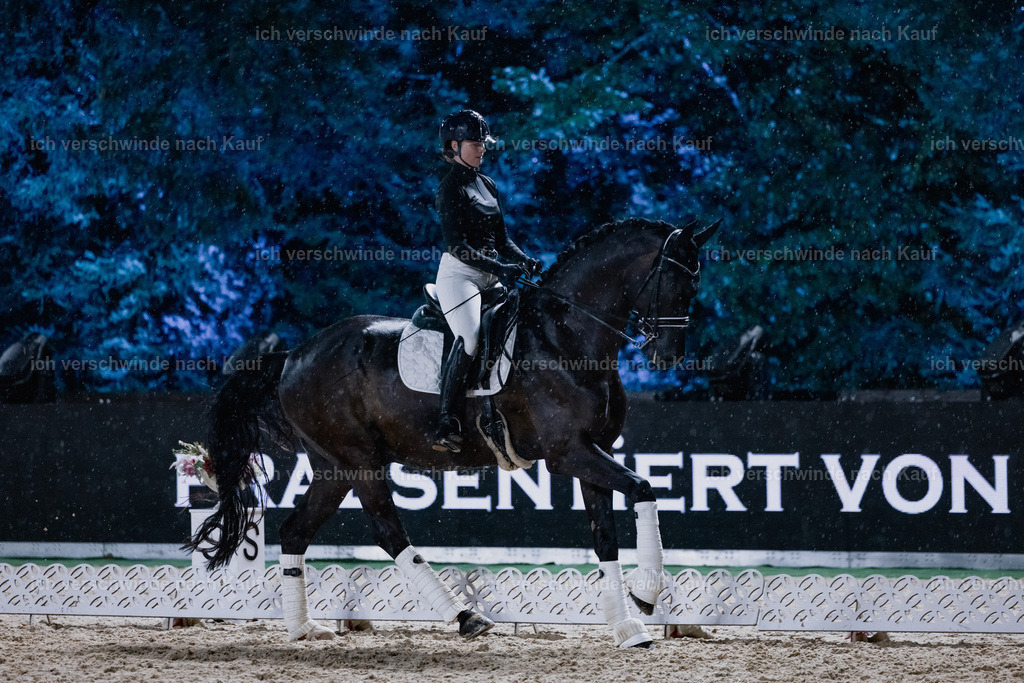 FHClassics-118 | working equitationturnier fotograf videograf stoibphotography marixx film working equitation deutschland reitsport turnierfotografie eventfotografie equestrian events