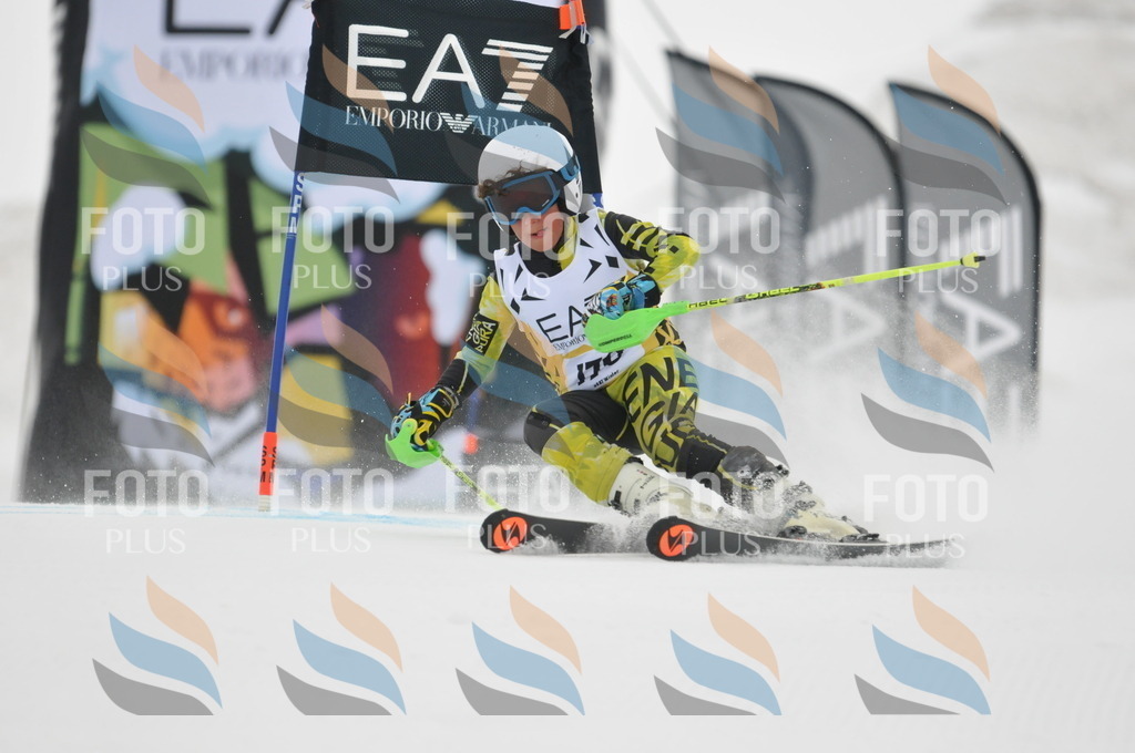 DSC_8582 | holidayphoto