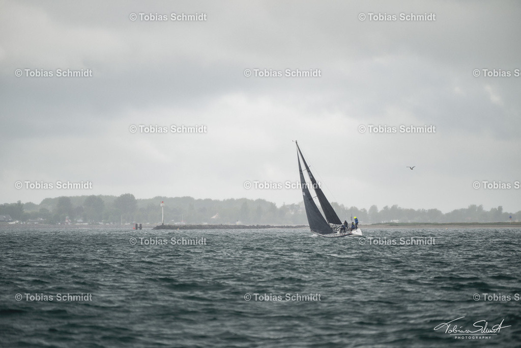 Fehmarn Rund 2025_DSC6807 | Fotoprodukte, Kalender und Wanddeko direkt vom Fotografen auf Fehmarn. Ob Wandbild auf Alu-Dibond, hinter Acrylglas oder auf Leinwand – hier können Sie Ihr Lieblingsbild kaufen. - Realisiert mit Pictrs.com