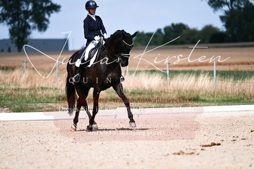 DSC_3133 | Pferde- und Turnierfotografie in Westsachsen. Pferdeportraits, Auftragszeichnungen und intuitive Kunst.