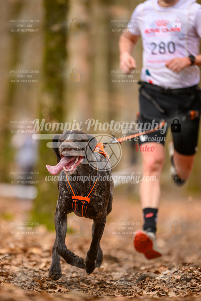 MompixPhotography_Habay2025_SA_CCC-71 | PayLife
